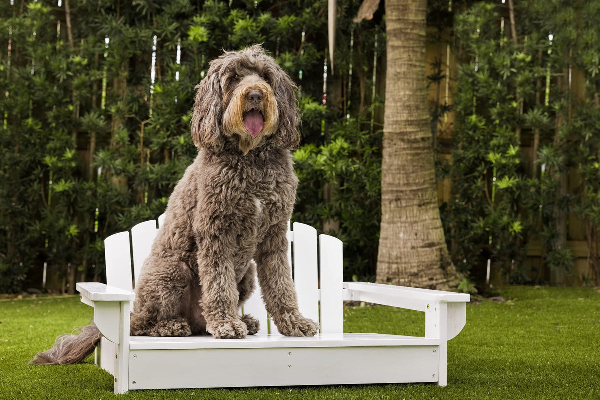 Midlee White Dog Adirondack Chair Bed (X-Large)