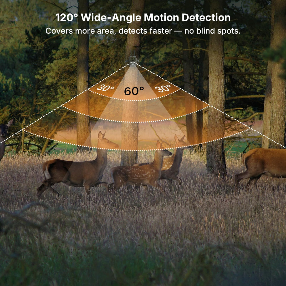 GardePro E8 2.0 Pro Solar WiFi Trail Camera (Non-Cellular), Dual Antennas, Stable Connection, 4K Video, Rechargeable Battery, On-Site Viewing, No-Glow Night Vision, Motion Activated