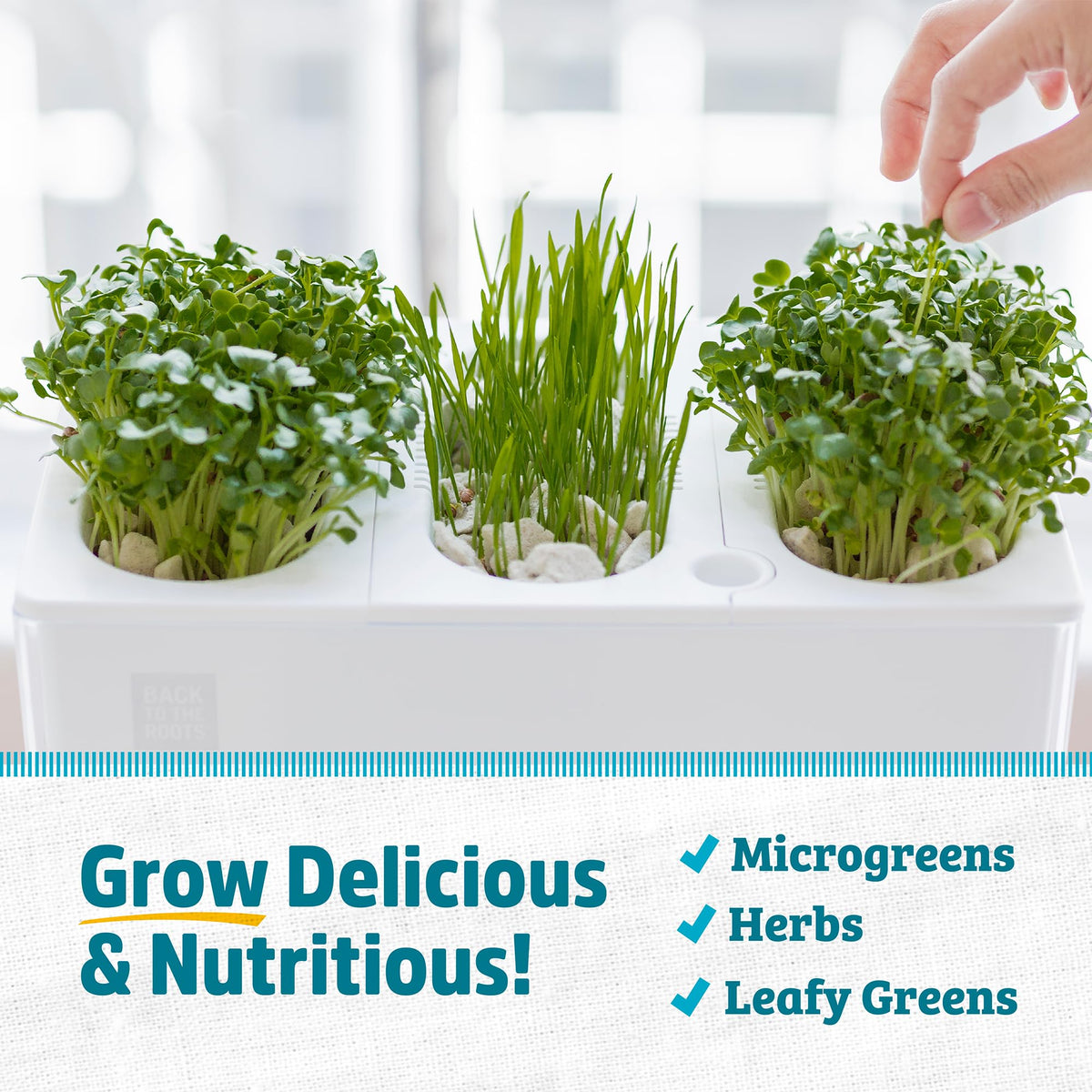 Back to the Roots Indoor Aquaponic Garden - 3 Gallon Self Watering, Mess-Free Planter and Self-Cleaning Fishtank for Herbs, Microgreens, Bamboo, Succulents, and Houseplants, support Fish