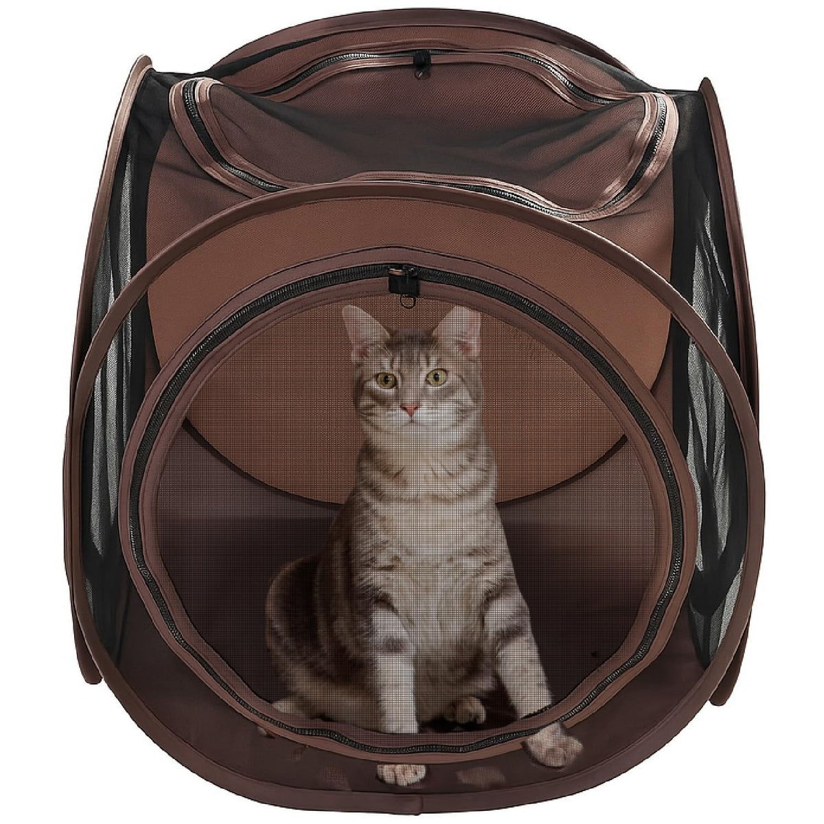 Snarky Pets Square Cat Tunnel & Cube Mega Bundle – Modular Indoor Cat Playground with 4 Tunnels & 4 Cubes