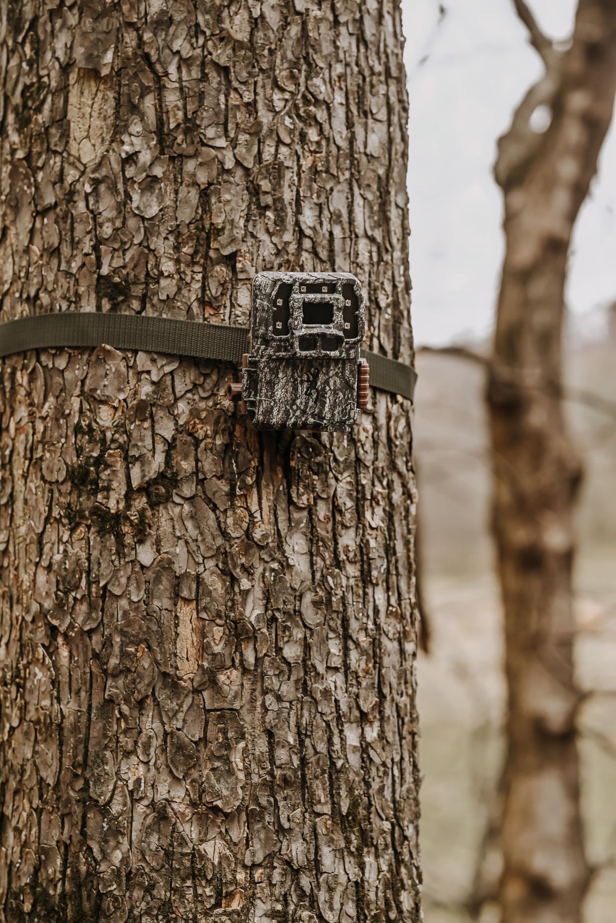 Browning Strike Force Pro DCL Nano Trail Game Camera Bundle Includes Sub Micro Security Box + 32GB Memory Card + J-TECH Card Reader (26MP) | BTC5DCLN