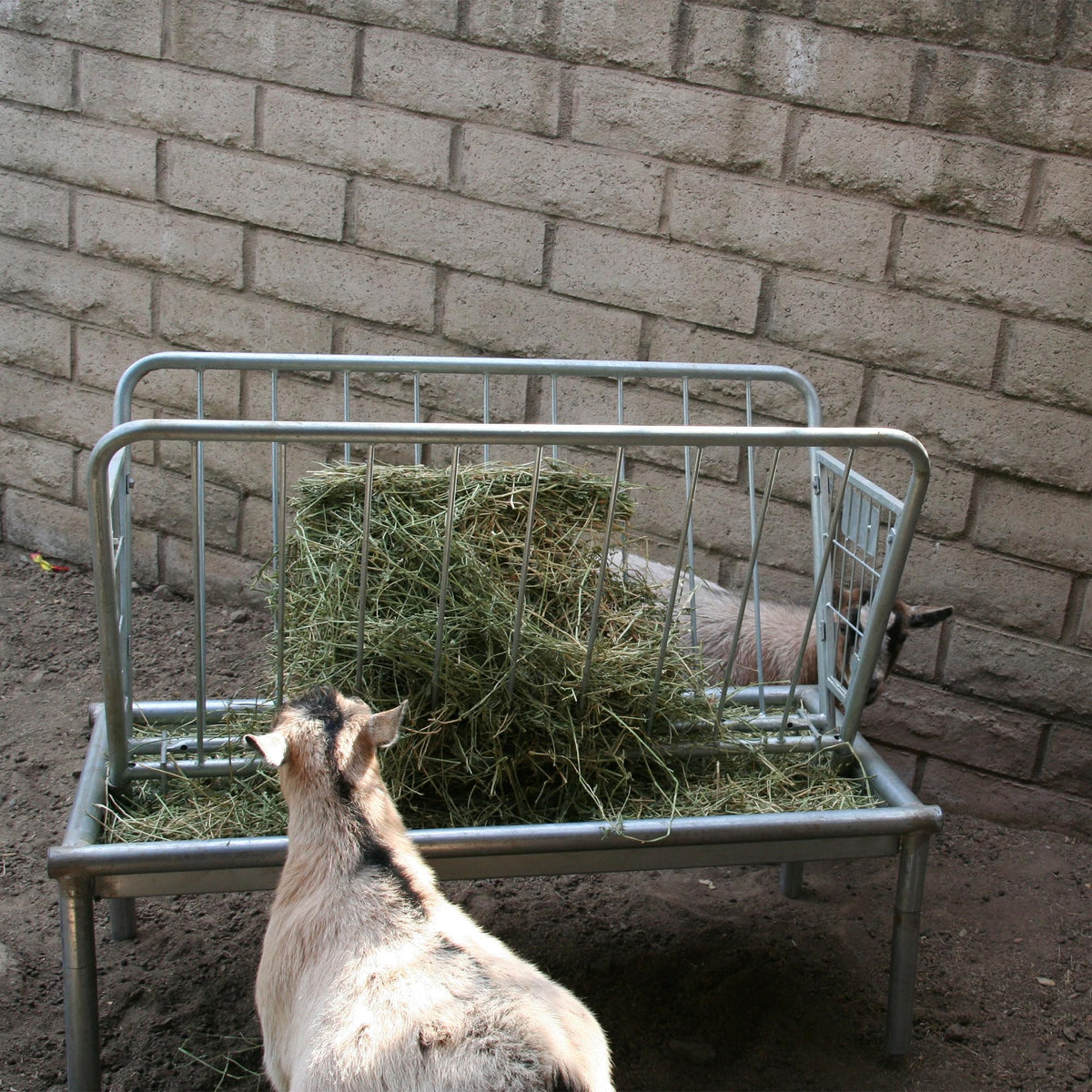 Rugged Ranch Products 4 Foot Long Outdoor Heavy Duty Mini Galvanized Steel Pasture Hay Feeder for Goats, Sheep, and Miniature Horses, Silver
