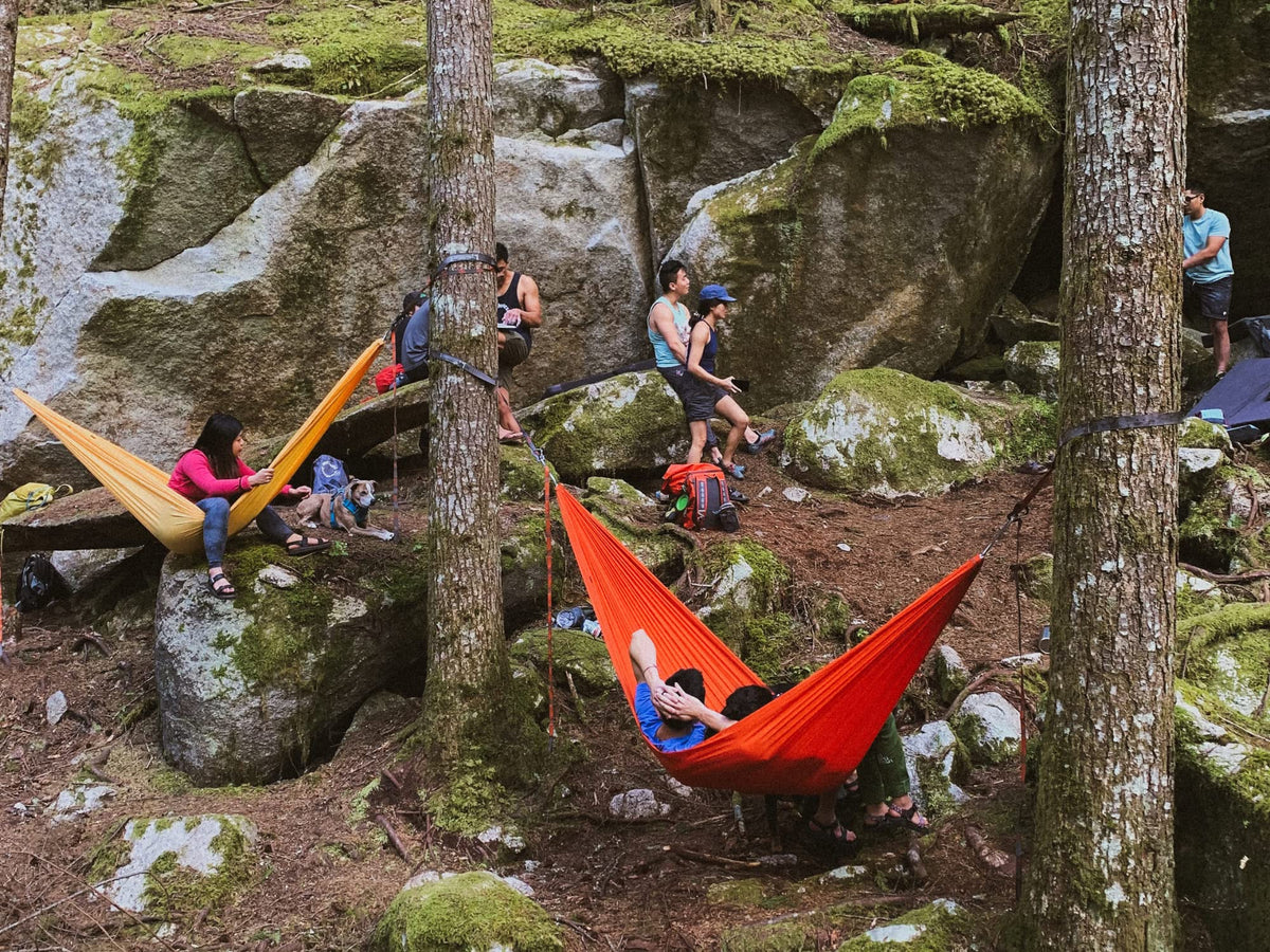 KAMMOK: Swiftlet Portable Stand & Roo Double Sunflower Gold Hammock Set