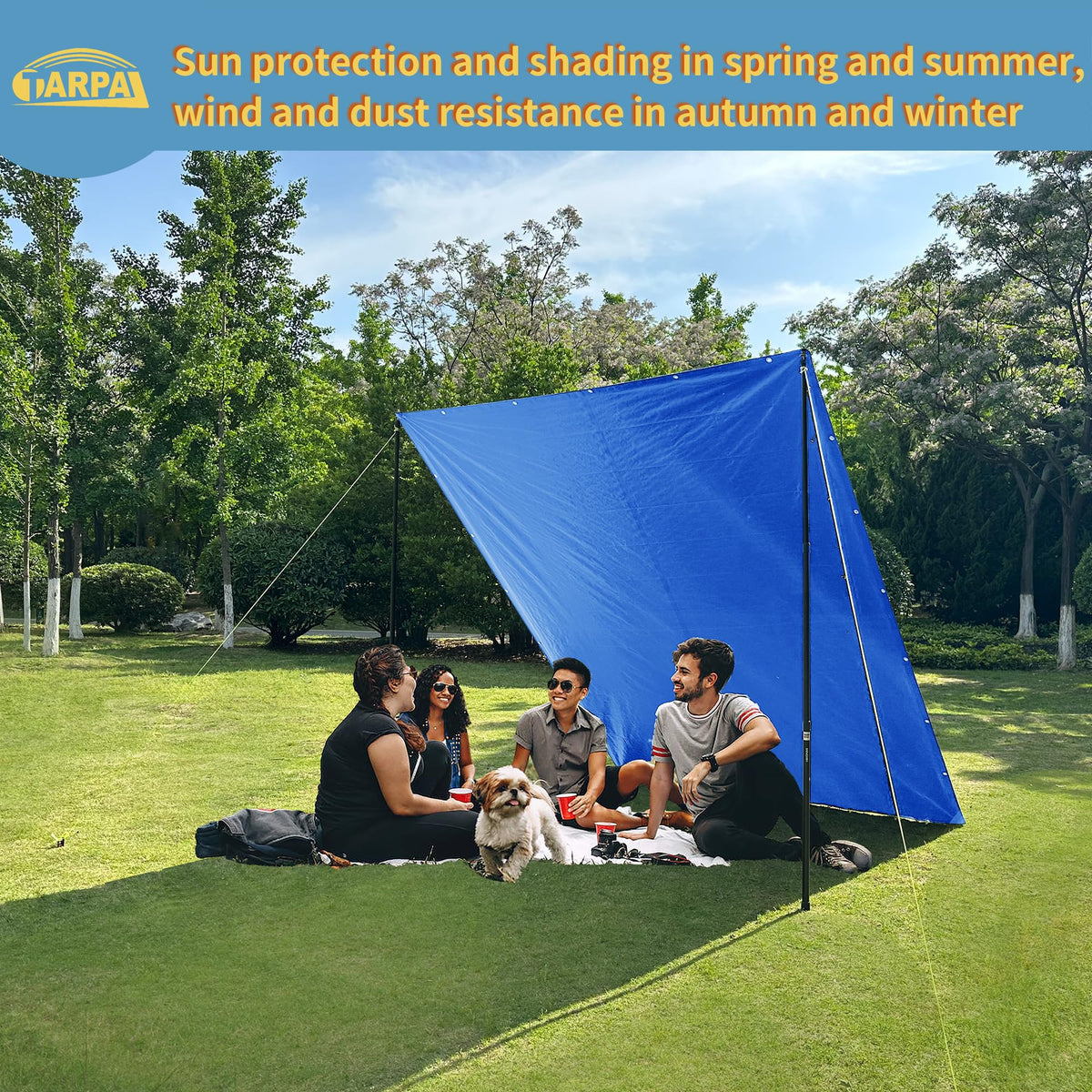 TARPAL 30x50 feet Blue tarp, 8mil Medium Duty tarps Waterproof, Tear Resistant with Metal Grommets, Suitable for Outdoor Tent Emergency rain Cover,Floor tarp,and Other uses.