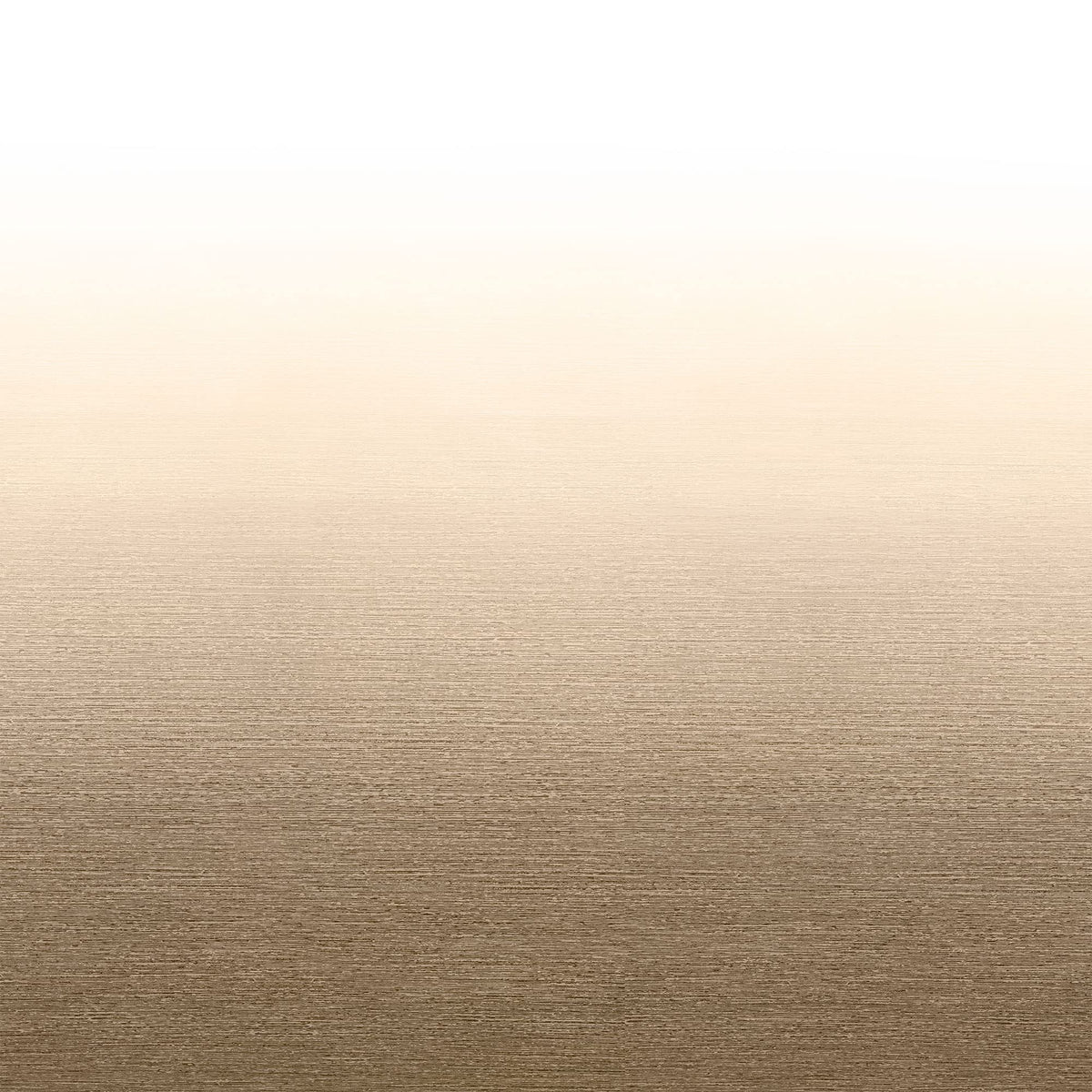RecPro RV Awning Fabric Replacement | Width Options from 8 to 22 Feet | Variety of Color Options | 8' (96") Length RV Awning Replacement | Premium Vinyl (17' - Actual Width 16' 1", Tan/Camel Fade)