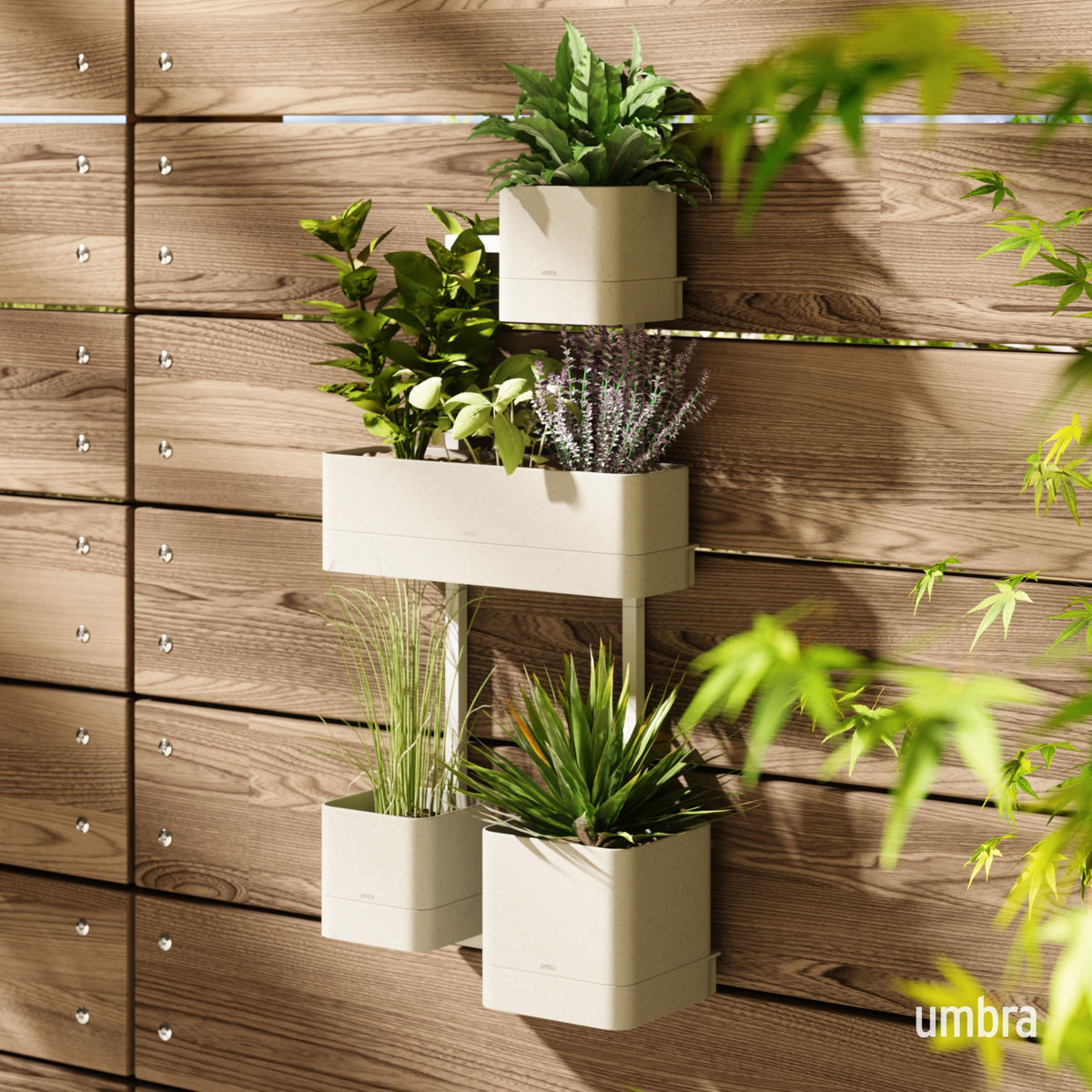 Umbra Cubiko Wall-Mount Planter with Four Adjustable Pots, Suitable for Indoor or Outdoor Use, Sand