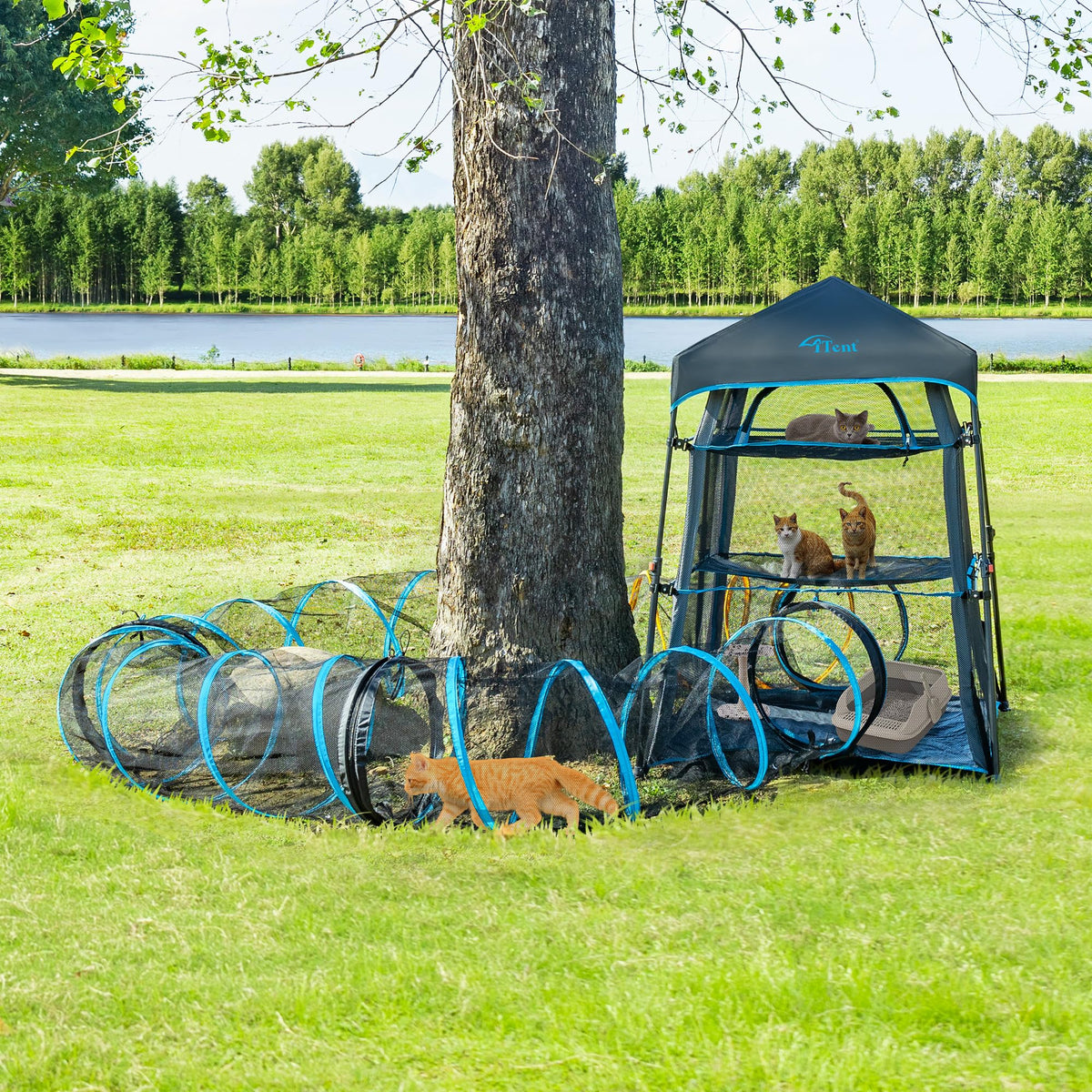 ITENT Cat Play Tunnel-for Indoors and Outdoors,Cat Tunnel Outdoor, Kitty Outdoor Enclosure, Cat Enclosures Easy to Connect with Two Zipper Doors,Product Size 59'' x 18'',3pcs /Set,Blue,3 Packs