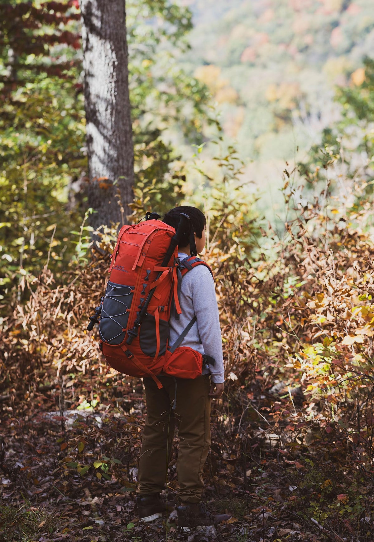 ALPS Mountaineering Nomad RT 38 Pack, Chili/Charcoal, One Size