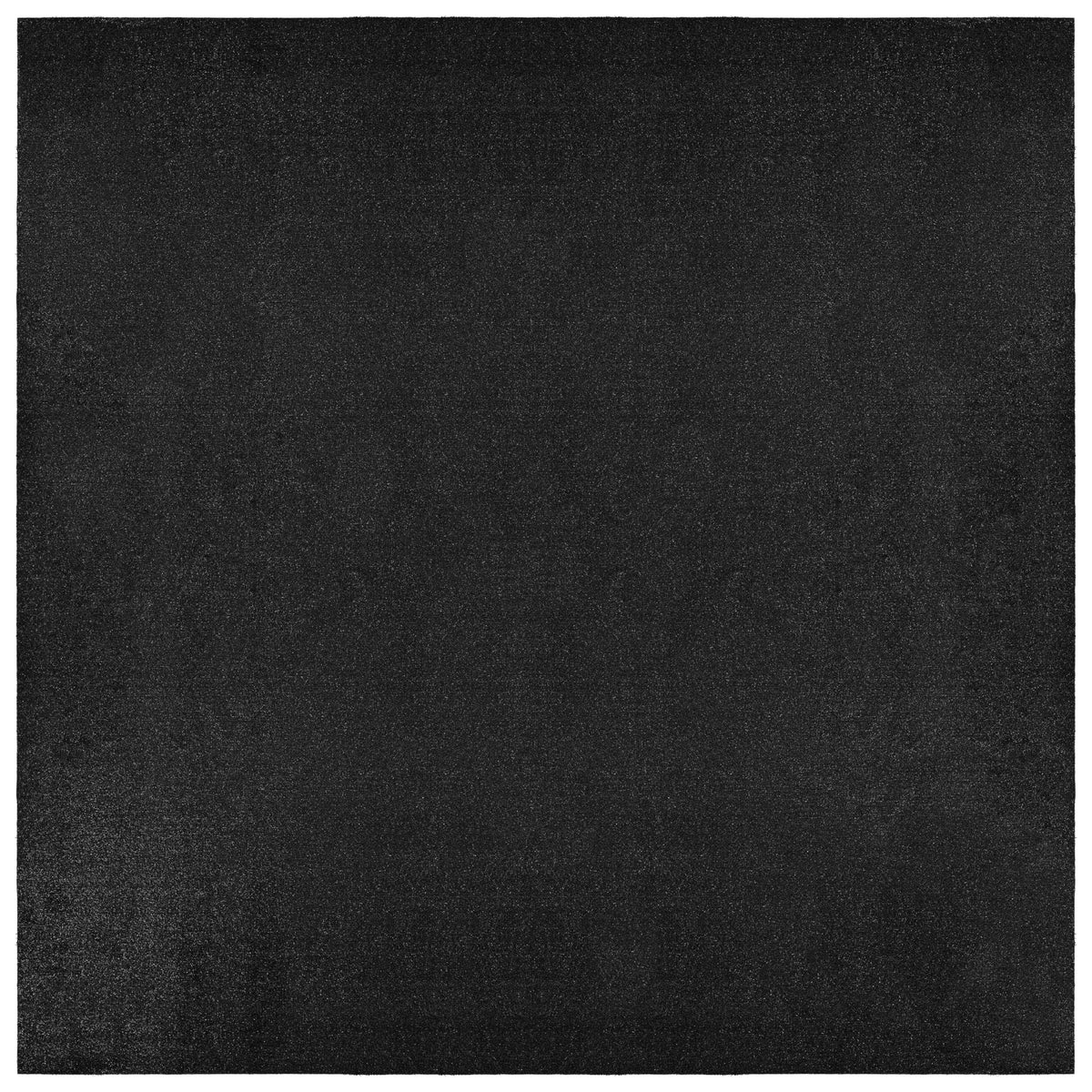 Garland Rug Black Artificial Grass 12 Ft. X 12 Ft. Large Indoor/Outdoor Area Rug -Lush Black Durable, and Low-Maintenance for Patios, Lawns, and More